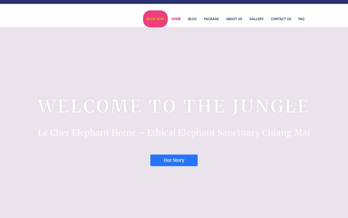 Il vecchio sito di Le Cher Elephant Home: template generico